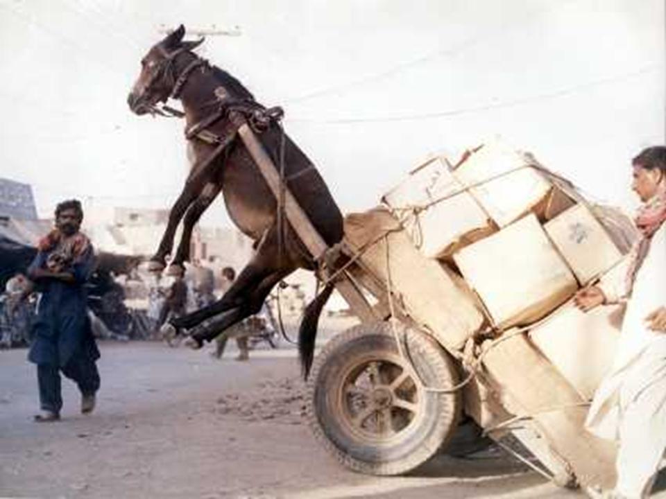 Load Balancing Managed DNS Load Balancing Managed DNS