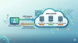 What Is DNS NSID? How to See Which DNS Server Answered