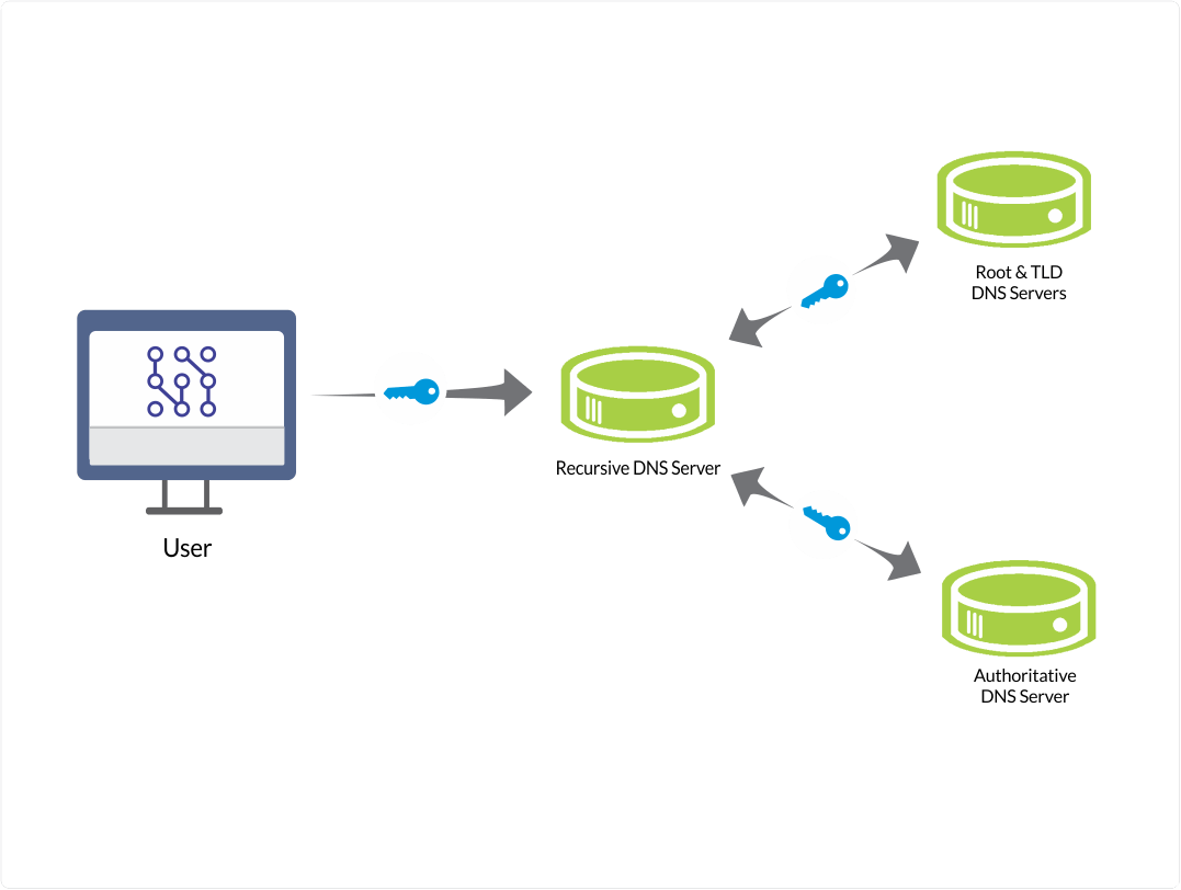 Advanced DNS Monitoring for Maximum Security