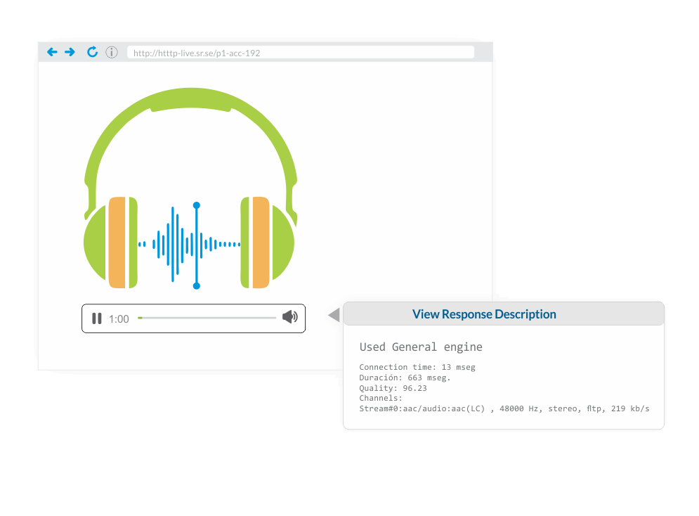 Monitoring Streaming Media- Audio