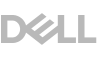 DELL DELL