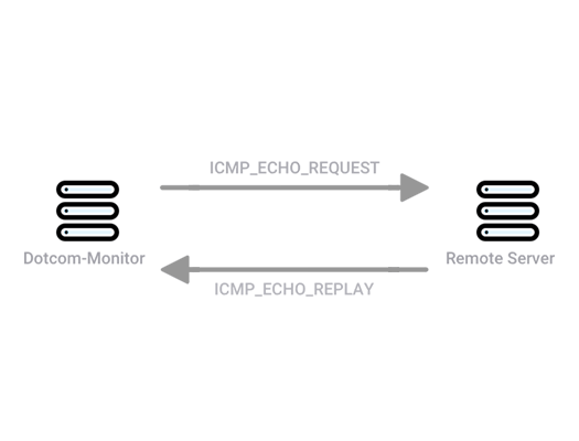 ping icmp echo