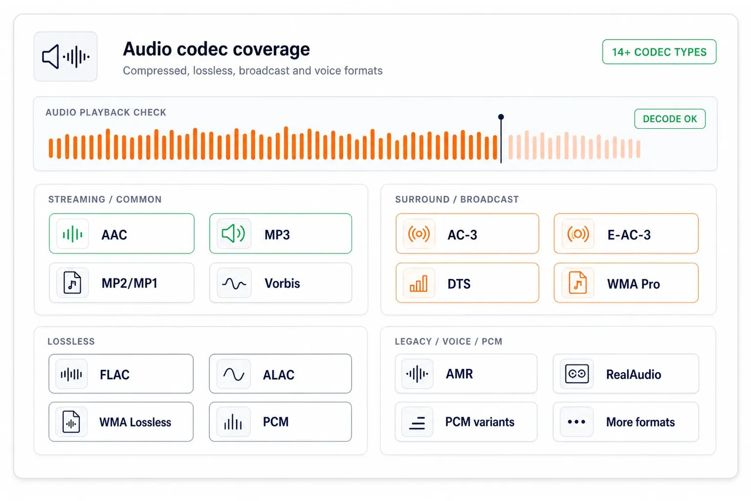 Audio codec coverage chip cloud showing AAC, MP3, AC-3, E-AC-3, WMA, Vorbis, FLAC, ALAC, DTS, AMR, RealAudio, and PCM variants.